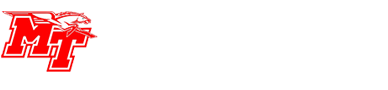 Mert Tur Kocaeli - Mert Turizm - Mertay Tur